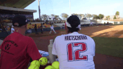 usssapride softball fastpitch usssa npf GIF