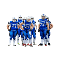 Football Wtf Sticker by tamperesaints