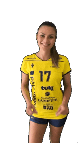 Schwerinersc Sticker by SSCPalmbergSchwerin