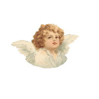 Angel Smells So Good Sticker by Celuí Fragrance