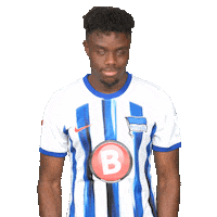 Football Bundesliga Sticker by Hertha BSC