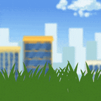 Crypto Penguin GIF by Pudgy Penguins