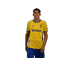 Goalcelebration Sejr Sticker by Brøndby IF