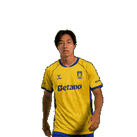 Goalcelebration Sejr Sticker by Brøndby IF