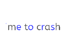 Fly Crash Sticker