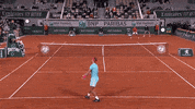 Vamos Spanish GIF by Roland-Garros