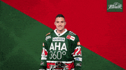 Del Pureemotion GIF by Augsburger Panther Eishockey GmbH