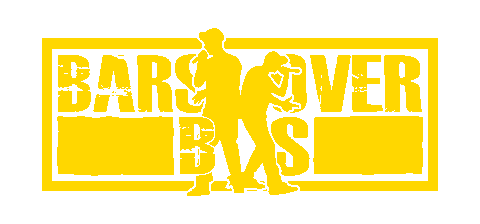 BarsOverBs giphyupload vinyl cds underground hip hop Sticker
