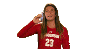 Wisconsin Volleyball What Sticker by Wisconsin Badgers