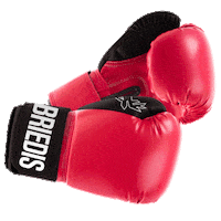 boxing briedis Sticker by LIVE RIGA