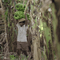 Santhoshnarayanan GIF by Think Music