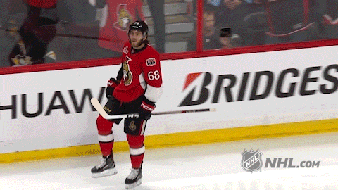 ice hockey GIF by NHL
