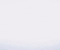 pop wtf GIF by Return-It Gang