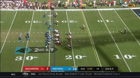 carolinapanthers GIF
