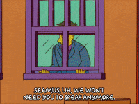 episode 18 principle skinner GIF