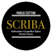 Cheers Wine Sticker by @paolocottiniwinery