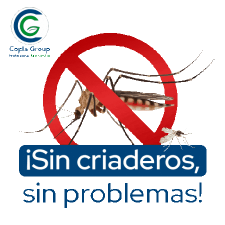 Mosquito Sticker by copla group