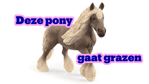 Weekend Pony GIF by bol.com