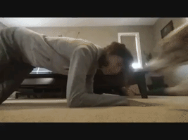 Woman's Planking Constantly Interrupted by her Adorable Dog
