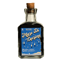 Hit Estate Sticker by Carosello Records