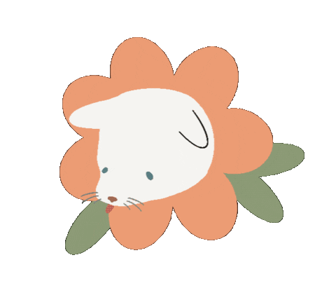 RanLyn cat cute pink kawaii Sticker