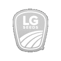 Harvest25 Sticker by LG Seeds