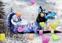 Dog Hearts GIF