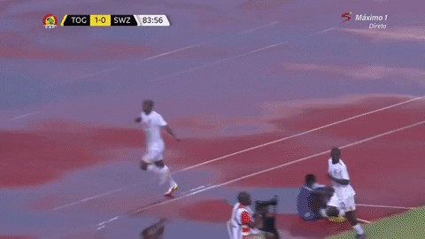 assimines giphygifmaker GIF