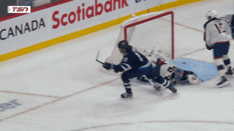 Happy Adam Lowry GIF by Winnipeg Jets