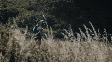 Beach Running GIF by nettwerkmusic