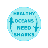 Ocean Shark Sticker by Fin Pin Shop