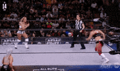 Hikaru Shida Wrestling GIF by AEWonTV