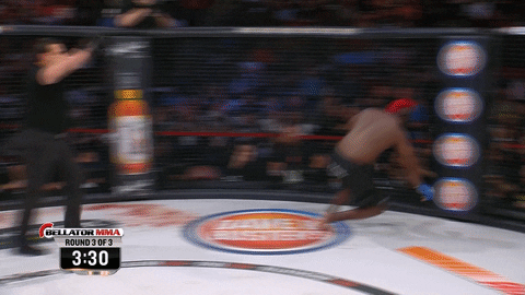 GIF by Bellator