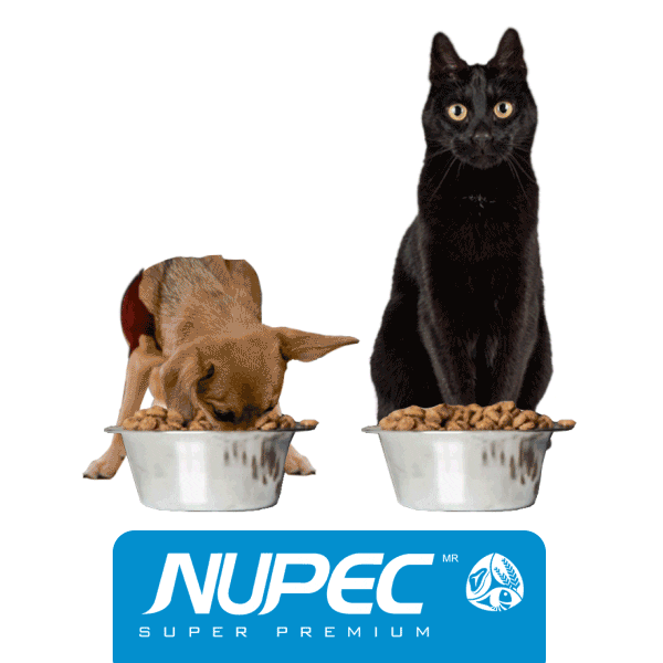 Supernupec giphyupload nutricion nupec perro y gato Sticker