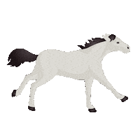 Galloping Horse Racing Sticker by Breeders' Cup World Championships