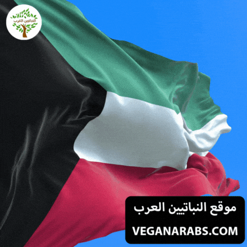 Kuwait Flag GIF by VeganArabs