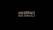 Aesthet New Arrivals GIF by AESTHET