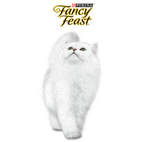 cat Sticker by PURINA CAM