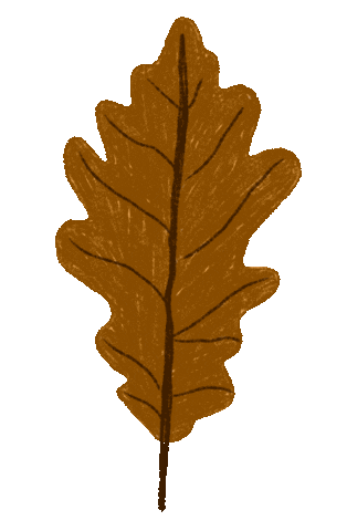 Autumn Leaves Illustration Sticker