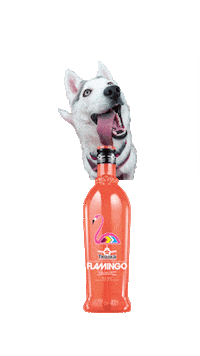 dog party Sticker by TROJKA Vodka