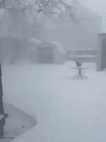 Blizzard-Like Conditions Hit Buffalo Neighborhood