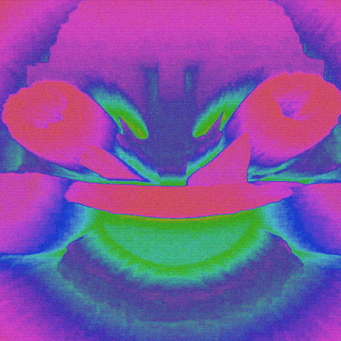 Tripping Laugh Out Loud GIF