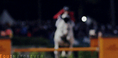show jumping GIF