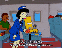 bart simpson episode 23 GIF