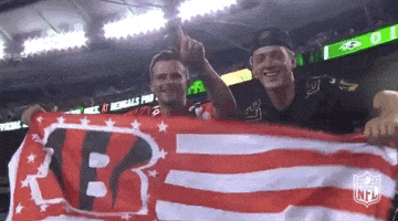 2018 Nfl Football GIF by NFL