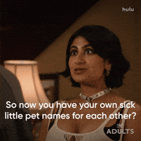 Who Is She Nick Kroll GIF by Adults