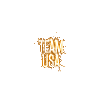 Team Usa Sticker by Texas A&M University
