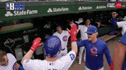 High Five Chicago Cubs GIF by MLB