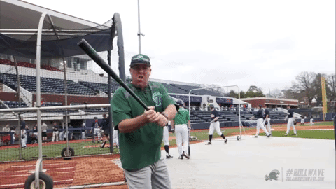 baseball wave GIF by GreenWave