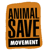 Go Vegan Plant Based Sticker by _AnimalSaveMovement_